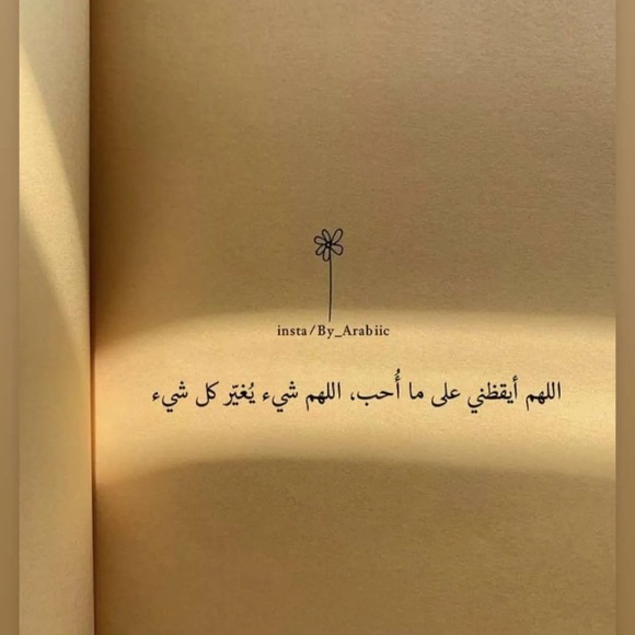 Meet your Posher, Samara - Picture 1 of 1